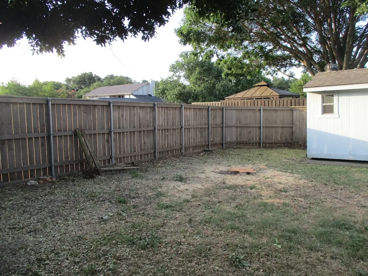 Cleared yard after professional tree removal in Surprise